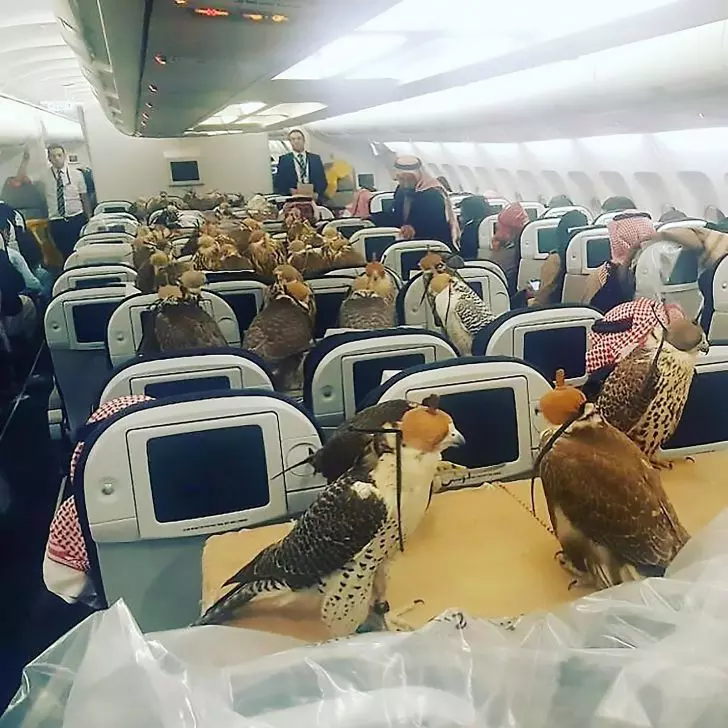 20 Moments At Airports That You Cannot Help But Staring_7