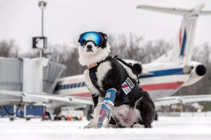20 Moments At Airports That You Cannot Help But Staring_9