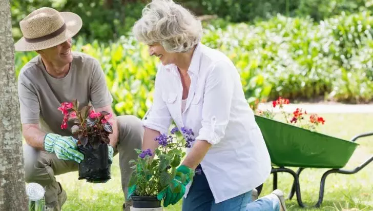 20 States With The Highest Average Social Security Benefits In The US_12
